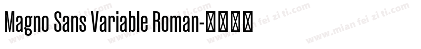 Magno Sans Variable Roman字体转换